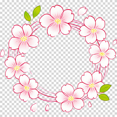 식물 편집이미지 디자인 꽃잎 꽃 분홍색 백그라운드 잎 자연 장식 화환 봄 벚꽃 원형 우아함 그림 화사함 조화 PNG 도형 계절 컬러 컨셉 생태계 파일형식