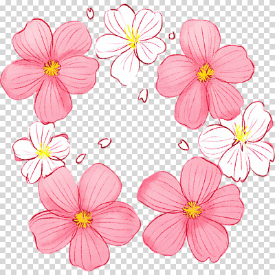 식물 편집이미지 디자인 꽃잎 꽃 컬러 백그라운드 자연 수채화 프레임 장식 봄 테두리 화사함 조화 PNG 생동감 계절 컨셉 생태계 파일형식