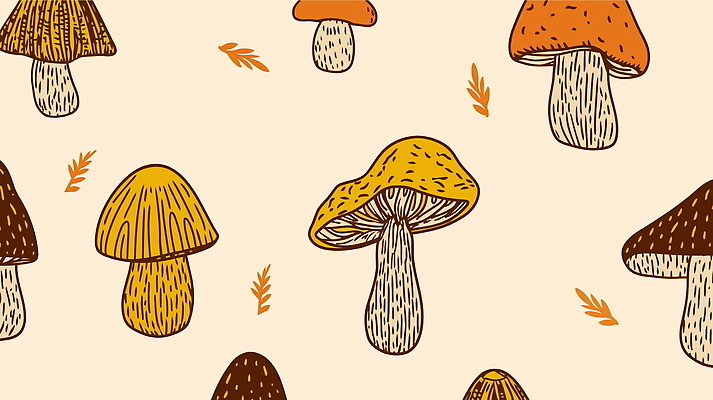 디자인 잎 무늬 패턴 일러스트 자연 사람없음 그래픽 노란색 버섯 가을 빈티지 국내일러스트 AI파일 식물 계절 컬러 컨셉 생태계 파일형식 벡터