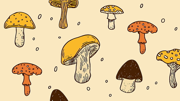 디자인 무늬 패턴 일러스트 자연 사람없음 노란색 주황색 버섯 가을 빈티지 국내일러스트 AI파일 계절 컬러 컨셉 생태계 파일형식 벡터