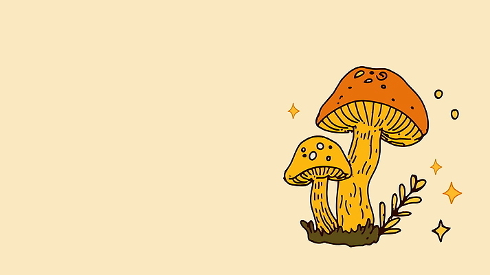 나무 디자인 무늬 일러스트 자연 사람없음 노란색 주황색 버섯 가을 빈티지 국내일러스트 AI파일 식물 계절 컬러 컨셉 생태계 파일형식 벡터