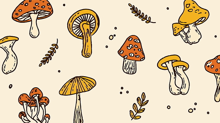 디자인 무늬 패턴 일러스트 자연 풍경 사람없음 노란색 버섯 가을 빈티지 국내일러스트 AI파일 계절 컬러 컨셉 생태계 파일형식 벡터