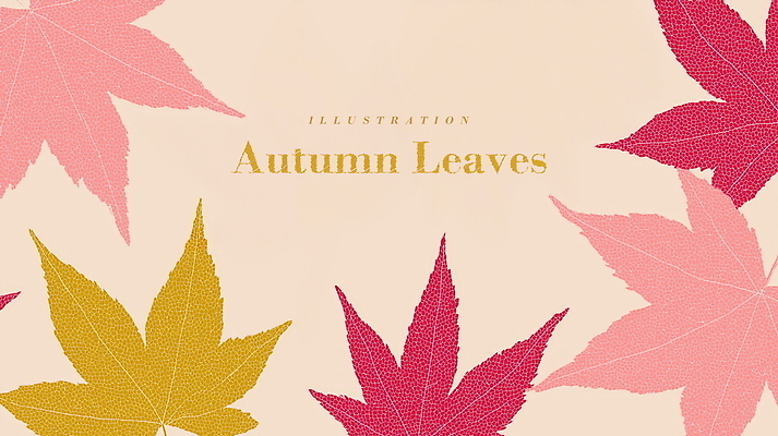 PSD 디자인 분홍색 백그라운드 단풍 패턴 일러스트 자연 나뭇잎 따뜻함 사람없음 가을 분위기 편안함 감성 국내일러스트 계절 컬러 컨셉 잎 무늬 감각 생태계 파일형식