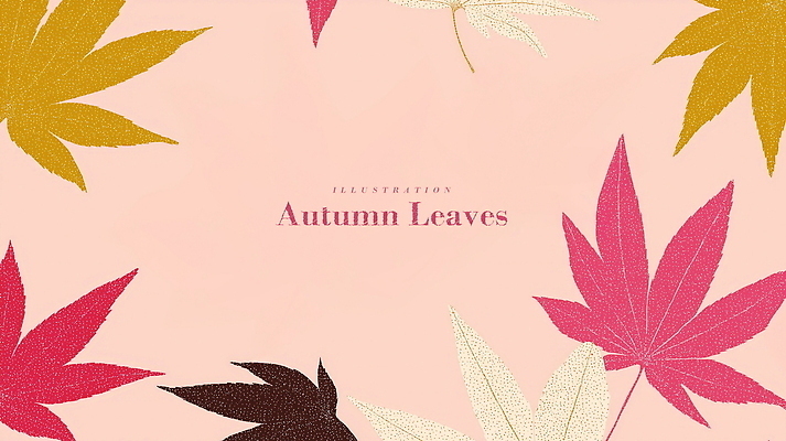 PSD 디자인 예술 분홍색 백그라운드 단풍 패턴 일러스트 자연 나뭇잎 따뜻함 사람없음 장식 가을 모던 감성 국내일러스트 계절 컬러 컨셉 잎 무늬 생태계 파일형식