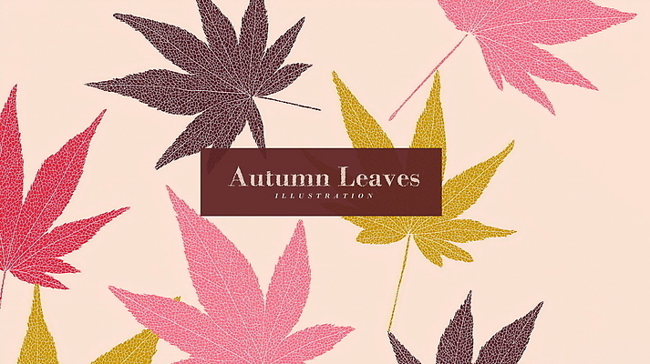 PSD 디자인 감정 예술 분홍색 백그라운드 단풍 패턴 일러스트 자연 나뭇잎 풍경 사람없음 가을 부드러움 국내일러스트 계절 컬러 잎 무늬 감각 생태계 파일형식