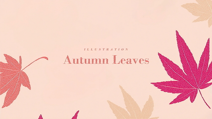 PSD 디자인 예술 분홍색 백그라운드 단풍 패턴 일러스트 자연 나뭇잎 따뜻함 사람없음 장식 가을 감성 국내일러스트 계절 컬러 컨셉 잎 무늬 생태계 파일형식