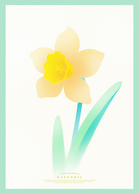 PSD 꽃잎 예술 곡선 일러스트 자연 색연필 사람없음 장식 노란색 우아함 부드러움 수선화 색감 국내일러스트 꽃 선 컬러 컨셉 학용품 감각 생태계 파일형식