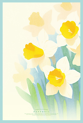 PSD 디자인 예술 일러스트 자연 날씨 색연필 풍경 사람없음 노란색 화사함 수선화 만개 국내일러스트 꽃 컬러 컨셉 학용품 생태계 파일형식