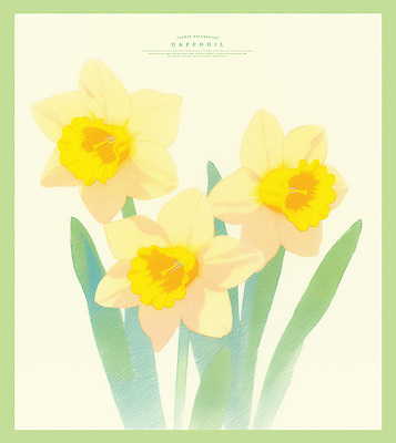 PSD 화분 잎 일러스트 자연 색연필 밝음 사람없음 노란색 화사함 수선화 경관 국내일러스트 식물 꽃 컬러 컨셉 학용품 풍경 생태계 파일형식