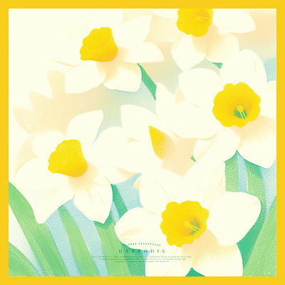 PSD 일러스트 자연 색연필 풍경 사람없음 노란색 화사함 수선화 만개 국내일러스트 꽃 컬러 컨셉 학용품 생태계 파일형식