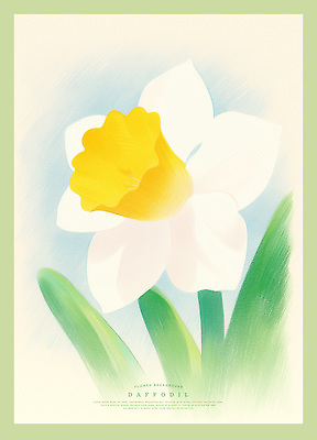 PSD 디자인 꽃잎 예술 일러스트 자연 색연필 풍경 사람없음 노란색 감성 수선화 국내일러스트 꽃 컬러 컨셉 학용품 생태계 파일형식