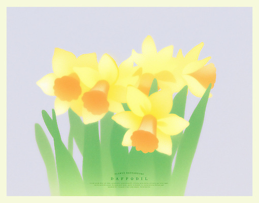 PSD 잎 일러스트 자연 색연필 사람없음 노란색 화사함 수선화 만개 색감 국내일러스트 식물 꽃 컬러 컨셉 학용품 생태계 파일형식