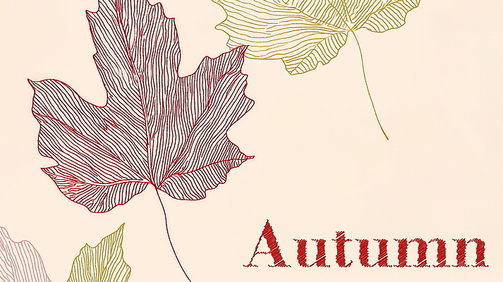 PSD 디자인 백그라운드 단풍 일러스트 자연 나뭇잎 풍경 사람없음 갈색 가을 스타일 국내일러스트 계절 컬러 잎 생태계 파일형식