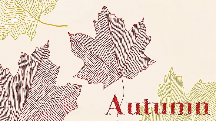 PSD 디자인 백그라운드 단풍 일러스트 자연 나뭇잎 풍경 사람없음 그래픽 햇빛 가을 국내일러스트 계절 잎 태양 생태계 파일형식