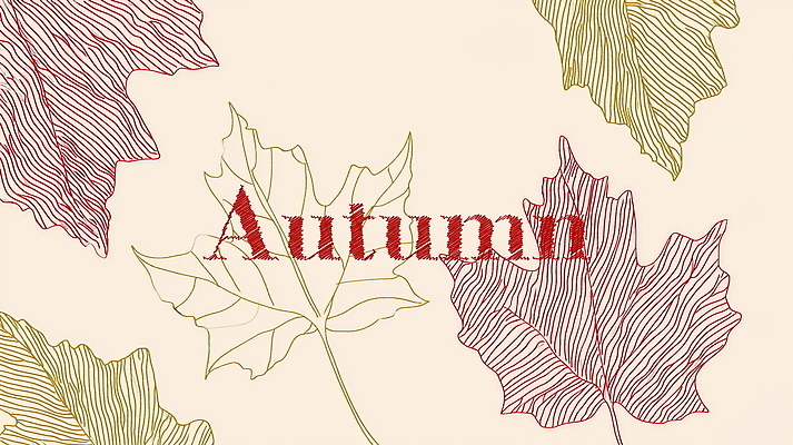 PSD 디자인 백그라운드 단풍 일러스트 텍스트 자연 나뭇잎 사람없음 그래픽 가을 창의성 국내일러스트 계절 잎 생태계 파일형식