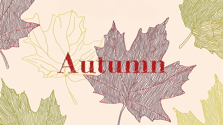 PSD 디자인 백그라운드 단풍 일러스트 자연 풍경 사람없음 가을 국내일러스트 계절 잎 생태계 파일형식