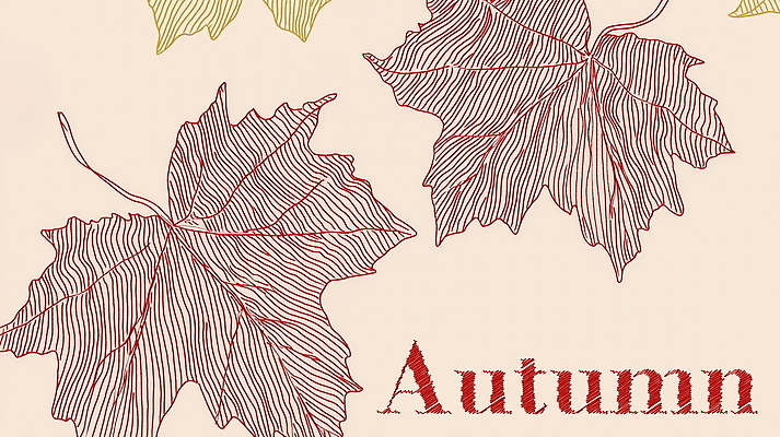 PSD 디자인 백그라운드 단풍 일러스트 자연 풍경 사람없음 가을 스케치 국내일러스트 계절 잎 미술 생태계 파일형식