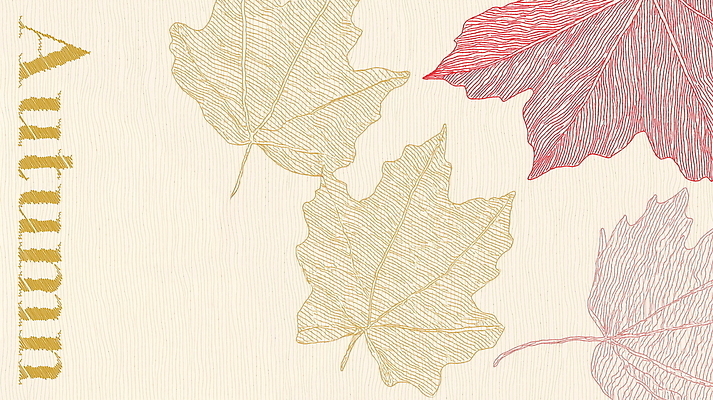 PSD 디자인 백그라운드 단풍 낙엽 일러스트 자연 미술 풍경 사람없음 빛 가을 국내일러스트 계절 잎 문화예술 생태계 파일형식