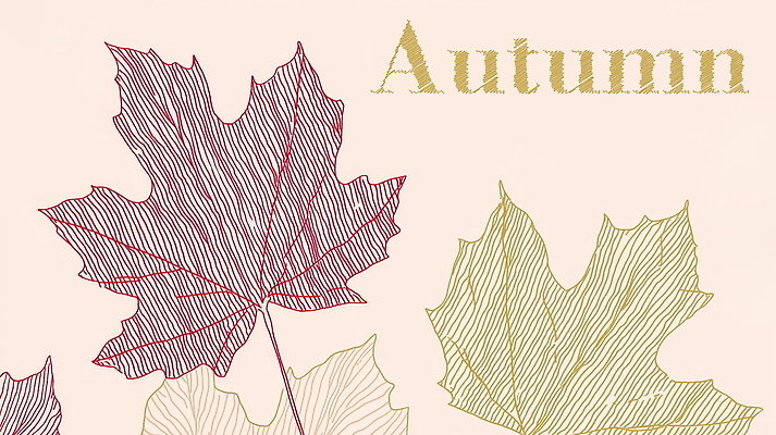 PSD 디자인 감정 백그라운드 단풍 일러스트 자연 나뭇잎 풍경 사람없음 가을 국내일러스트 계절 잎 생태계 파일형식