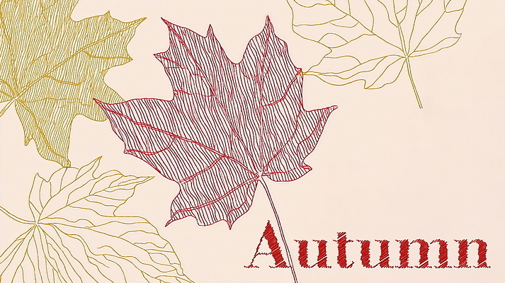 PSD 백그라운드 단풍 일러스트 자연 풍경 사람없음 빨간색 가을 국내일러스트 계절 컬러 잎 생태계 파일형식