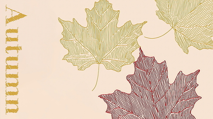 PSD 디자인 백그라운드 단풍 일러스트 자연 풍경 사람없음 가을 국내일러스트 계절 잎 생태계 파일형식