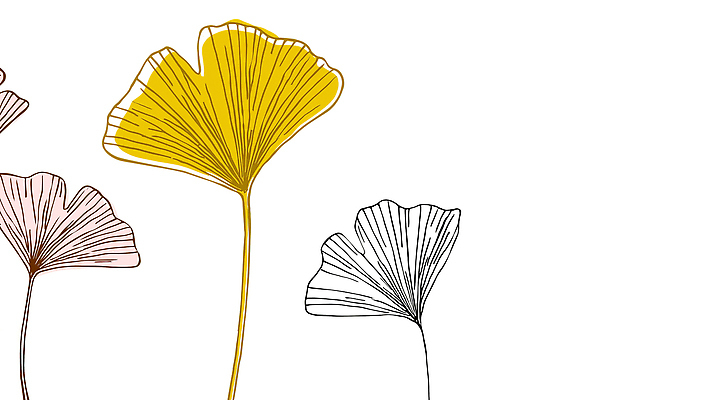 JPG 식물 디자인 예술 백그라운드 일러스트 자연 사람없음 노란색 가을 라인아트 은행잎 국내일러스트 AI일러스트 AI콘텐츠 계절 선 컬러 잎 생태계 파일형식