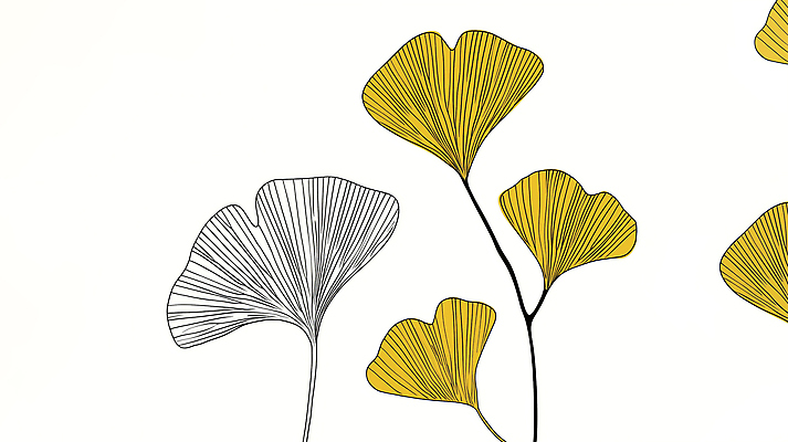 JPG 식물 디자인 예술 백그라운드 일러스트 자연 사람없음 노란색 가을 라인아트 은행잎 은행나무 국내일러스트 AI일러스트 AI콘텐츠 나무 계절 선 컬러 잎 생태계 파일형식