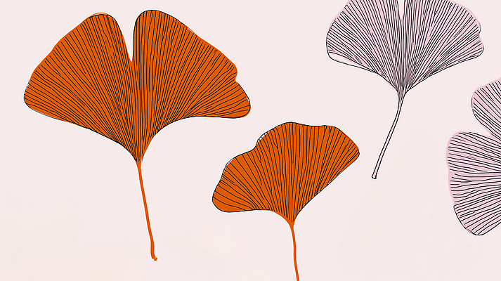 JPG 식물 디자인 예술 백그라운드 일러스트 자연 사람없음 빨간색 가을 라인아트 은행잎 국내일러스트 AI일러스트 AI콘텐츠 계절 선 컬러 잎 생태계 파일형식