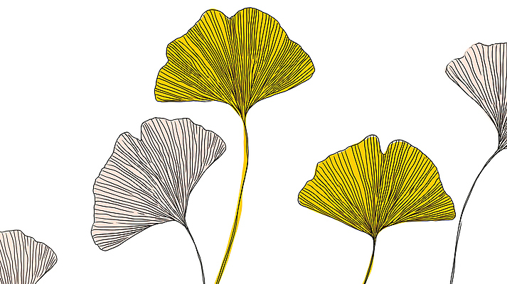JPG 식물 디자인 예술 백그라운드 일러스트 자연 생명 사람없음 노란색 가을 라인아트 은행잎 은행나무 드로잉 국내일러스트 AI일러스트 AI콘텐츠 나무 계절 선 컬러 잎 미술 생태계 파일형식