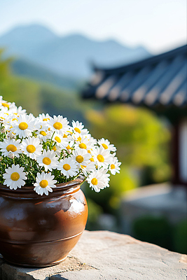 JPG 편집이미지 화분 자연 기와집 사람없음 햇빛 평화 항아리 데이지 기와지붕 편집실사 AI포토 AI콘텐츠 꽃 컨셉 지붕 한옥 기와 태양 도자기 CG 생태계 파일형식