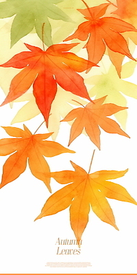 PSD 상징 단풍 낙엽 일러스트 자연 나뭇잎 풍경 사람없음 주황색 가을 감성 국내일러스트 계절 컬러 컨셉 잎 생태계 파일형식