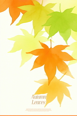 PSD 단풍 낙엽 일러스트 자연 미술 풍경 사람없음 주황색 가을 부드러움 국내일러스트 계절 컬러 잎 문화예술 감각 생태계 파일형식