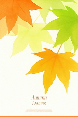 PSD 식물 단풍 낙엽 일러스트 자연 풍경 사람없음 주황색 가을 국내일러스트 계절 컬러 잎 생태계 파일형식