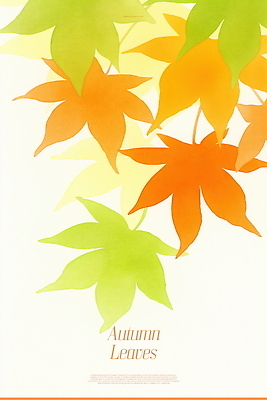 PSD 디자인 단풍 낙엽 일러스트 자연 나뭇잎 풍경 사람없음 주황색 가을 국내일러스트 계절 컬러 잎 생태계 파일형식