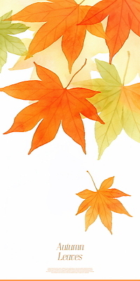 PSD 식물 단풍 낙엽 일러스트 자연 나뭇잎 풍경 사람없음 주황색 가을 분위기 국내일러스트 계절 컬러 컨셉 잎 생태계 파일형식