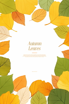 PSD 식물 디자인 단풍 낙엽 일러스트 자연 나뭇잎 프레임 사람없음 초록색 주황색 가을 오후 카피스페이스 국내일러스트 계절 컬러 잎 공백 생태계 파일형식