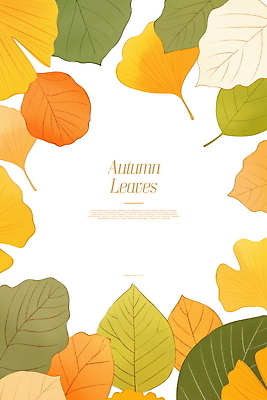 PSD 식물 디자인 예술 백그라운드 단풍 낙엽 일러스트 자연 프레임 사람없음 가을 카피스페이스 국내일러스트 계절 잎 공백 생태계 파일형식