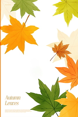 PSD 디자인 예술 백그라운드 단풍 낙엽 일러스트 자연 나뭇잎 따뜻함 사람없음 가을 국내일러스트 계절 잎 생태계 파일형식