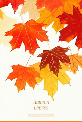 PSD 예술 백그라운드 단풍 일러스트 자연 나뭇잎 따뜻함 풍경 사람없음 가을 화려 분위기 변화 국내일러스트 계절 컨셉 잎 생태계 파일형식