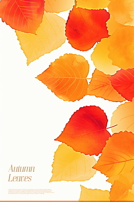 PSD 디자인 여유 예술 백그라운드 단풍 일러스트 자연 수채화 따뜻함 풍경 사람없음 주황색 가을 감성 색채 차분 국내일러스트 계절 감정 컬러 컨셉 잎 생태계 파일형식