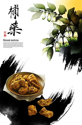 PSD 전통 접시 꽃 문화 잎 일러스트 붓터치 한국 건강 글자캘리그라피 사람없음 치료 한의학 약재 약초 한약 칡뿌리 국내일러스트 식물 식기 아시아 캘리그라피 의학 약 풀_식물 칡 파일형식