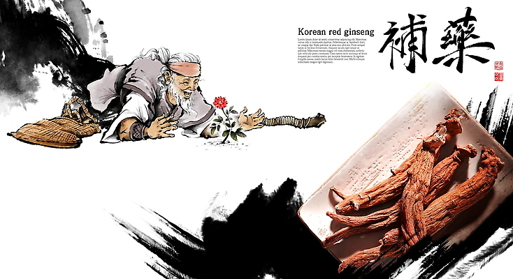 PSD 전통 노년 남자 꽃 문화 잎 일러스트 붓터치 한국 건강 한명 글자캘리그라피 한의학 약재 약초 한약 뿌리 발견 홍삼 국내일러스트 식물 1 아시아 캘리그라피 의학 사람 성인 약 풀_식물 삼 파일형식