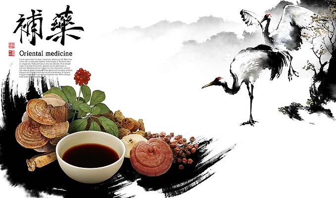 PSD 전통 일러스트 붓터치 건강 글자캘리그라피 사람없음 학 한의학 약재 약초 한약 영지버섯 탕약 국내일러스트 캘리그라피 의학 조류 약 버섯 풀_식물 파일형식