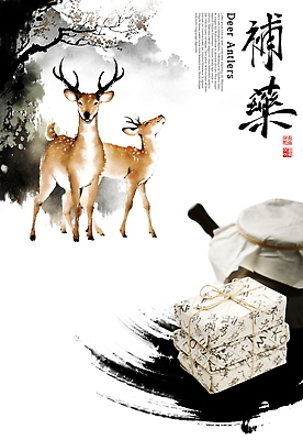 PSD 나무 전통 일러스트 붓터치 사슴 건강 글자캘리그라피 사람없음 한의학 약재 숲 한약 탕약기 국내일러스트 식물 캘리그라피 포유류 의학 약 파일형식