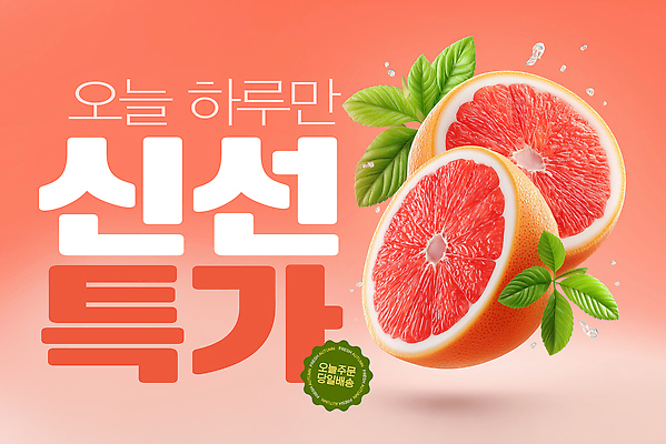 PSD 편집이미지 사람없음 세일 신선 수분 민트 자몽 특가판매 프로모션 이미지편집 과일 이벤트 허브 파일형식