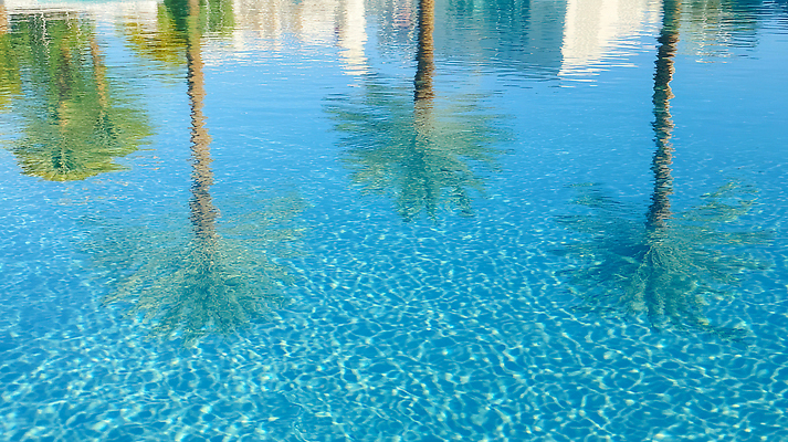 JPG 편집이미지 여유 물결 여행 휴식 수영장 사람없음 물 야자수 햇빛 반사 고요 수면 휴양지 편집실사 AI포토 AI콘텐츠 자연요소 나무 감정 컨셉 태양 장소 CG 파일형식