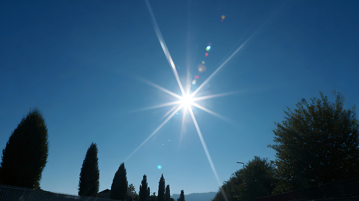 JPG 나무 구름 편집이미지 하늘 풍경 사람없음 여름 파란색 빛 태양 광선 보케 눈부심 편집실사 AI포토 AI콘텐츠 자연요소 식물 계절 컬러 CG 파일형식