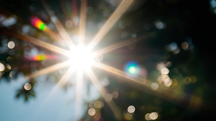 JPG 나무 편집이미지 나뭇잎 따뜻함 사람없음 여름 빛 반짝임 햇빛 태양 맑음 보케 눈부심 편집실사 AI포토 AI콘텐츠 자연요소 식물 계절 잎 모션 날씨 CG 파일형식