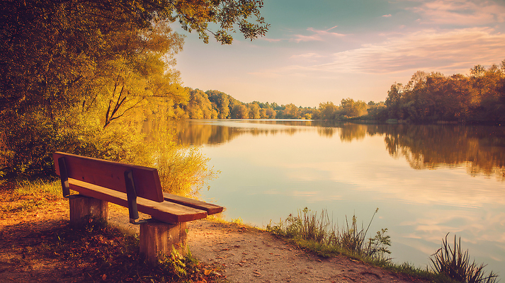 JPG 나무 편집이미지 공원 호수 물결 벤치 하늘 풍경 사람없음 햇빛 반사 평화 고요 일몰 조용 오후 편집실사 AI포토 AI콘텐츠 식물 공공시설 컨셉 의자 태양 노을 CG 파일형식