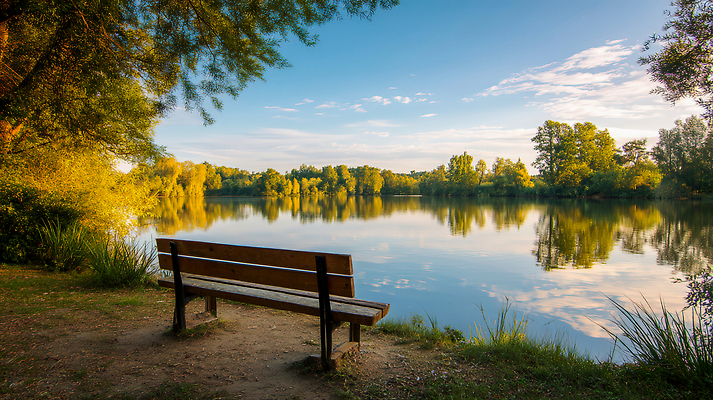 JPG 나무 편집이미지 공원 호수 여유 벤치 하늘 휴식 풍경 사람없음 물 여름 반사 평화 고요 일몰 산책 조용 오후 차분 편집실사 AI포토 AI콘텐츠 자연요소 식물 계절 공공시설 감정 컨셉 의자 노을 CG 파일형식